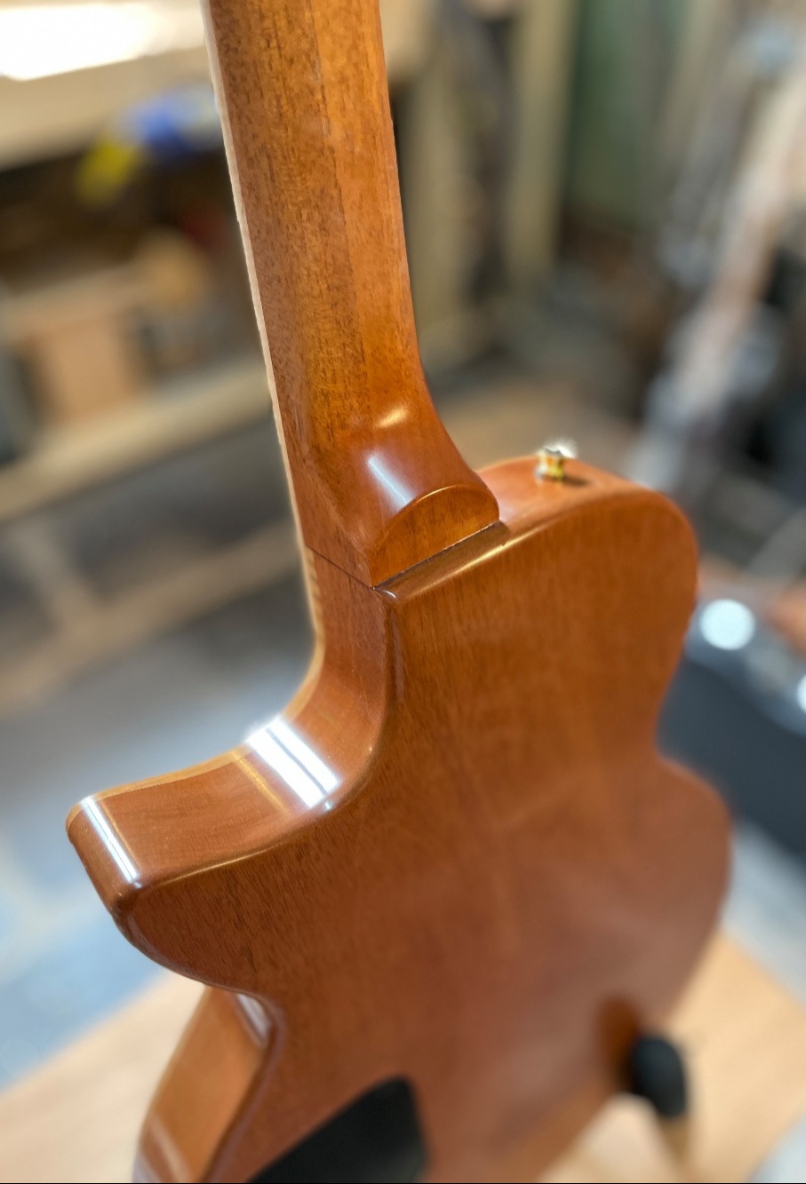 custom guitar back-1-1